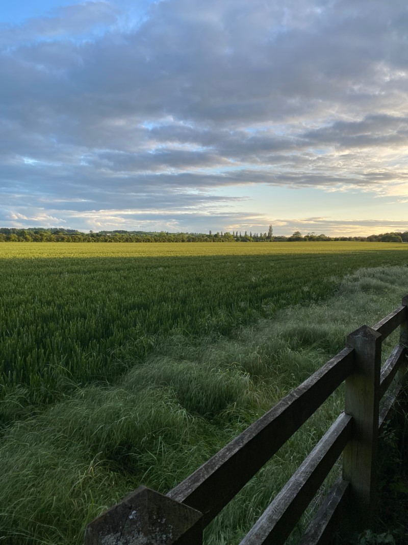 Evening walk outside Cambridge