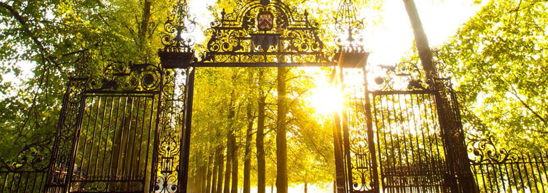 Sunlight shining through gate